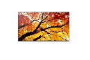 Sharp 32"  MultiSync M322 -  24/7, 450 cd, VA LED, 1920 x 1080, 16:9, 8ms, 4000:1, DP, 2x HDMI,